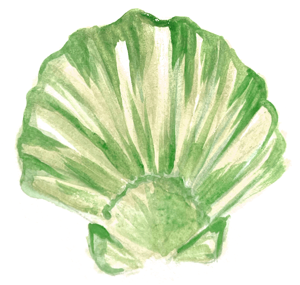 Desenho de Concha 1